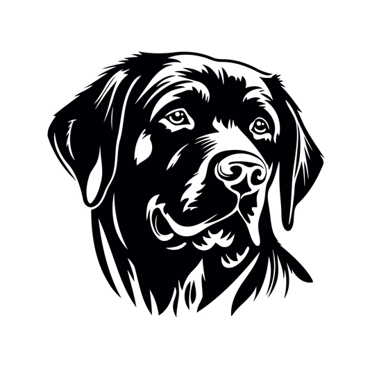 Labrador Kopf Aufkleber
