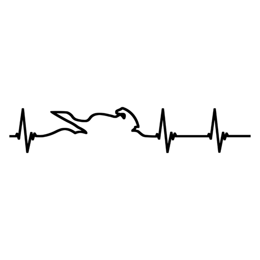 motorcycle pulse sticker