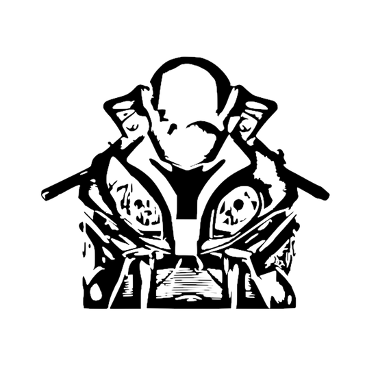 Silhouette stickers - S1000RR