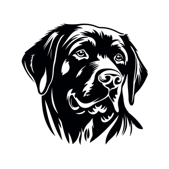 Labrador Kopf Aufkleber