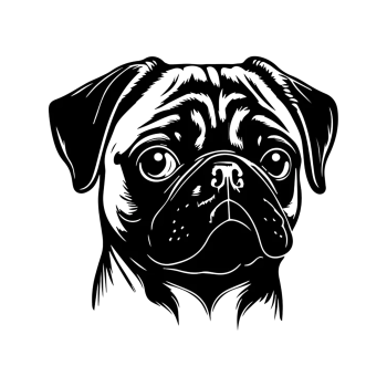Mops Kopf Aufkleber