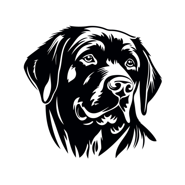 Labrador Kopf Aufkleber